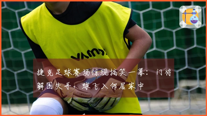 捷克足球赛场惊现搞笑一幕：门将解围失手，球飞入邻居家中